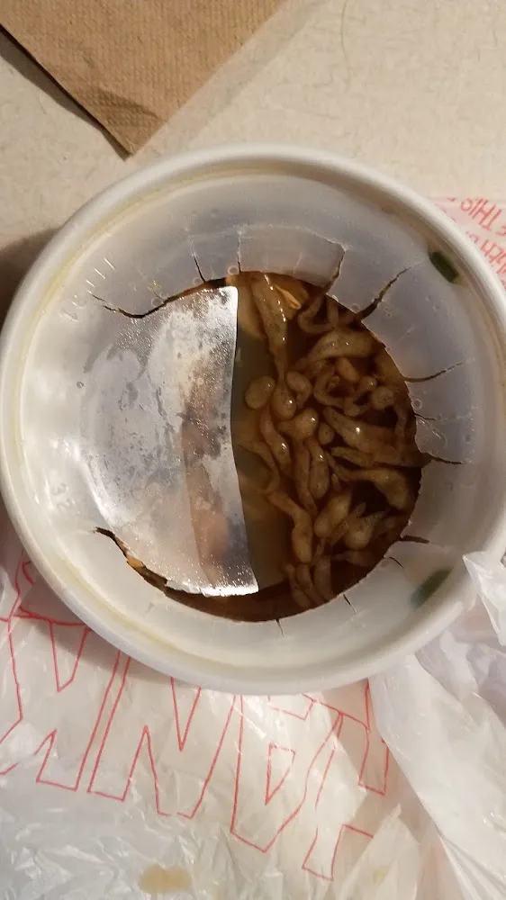 Broken Lid on Onion Soup